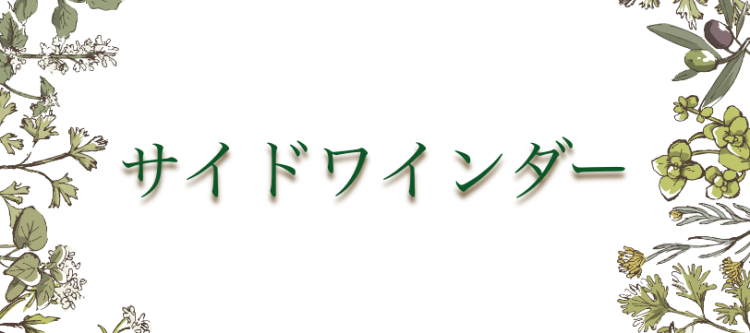 ていねいなくらし